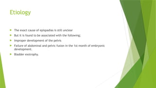 Congenital__disorders_of_genital_urinary_system_and_Neurogenic_bladder ...