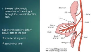 congenitalgastrointestinalanomalies-161121183124.pptx