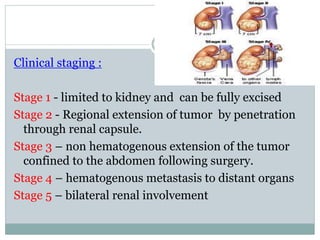 Clinical staging :
Stage 1 - limited to kidney and can be fully excised
Stage 2 - Regional extension of tumor by penetration
through renal capsule.
Stage 3 – non hematogenous extension of the tumor
confined to the abdomen following surgery.
Stage 4 – hematogenous metastasis to distant organs
Stage 5 – bilateral renal involvement
 