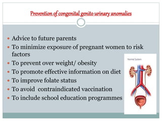 Prevention of congenital genito urinary anomalies
 Advice to future parents
 To minimize exposure of pregnant women to risk
factors
 To prevent over weight/ obesity
 To promote effective information on diet
 To improve folate status
 To avoid contraindicated vaccination
 To include school education programmes
 