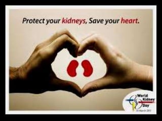 Congenital  genito  urinary disorders