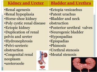 en
Kidney and Ureter Bladder and Urethra
•Renal agenesis
•Renal hypoplasia
•Horse-shoe kidney
•Poly cystic renal disease
•Ectopic kidney
•Duplication of renal
pelvis and ureter
•Hydronephrosis
•Pelvi-ureteric
obstruction
•Congenital renal
neoplasm
•ureterocele
•Ectopia vesicaehus
•Patent urachus
•Bladder and neck
obstruction
•Posterior urethral valves
•Neurogenic bladder
•Hypospadias
•Epispadias
•Phimosis
•Urethral stenosis
•Meatal stenosis
 