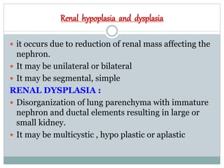 Renal hypoplasia and dysplasia
 it occurs due to reduction of renal mass affecting the
nephron.
 It may be unilateral or bilateral
 It may be segmental, simple
RENAL DYSPLASIA :
 Disorganization of lung parenchyma with immature
nephron and ductal elements resulting in large or
small kidney.
 It may be multicystic , hypo plastic or aplastic
 