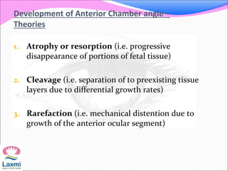 Development of Anterior Chamber angle –
Theories
1. Atrophy or resorption (i.e. progressive
disappearance of portions of fetal tissue)
2. Cleavage (i.e. separation of to preexisting tissue
layers due to differential growth rates)
3. Rarefaction (i.e. mechanical distention due to
growth of the anterior ocular segment)
 