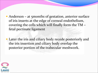  Anderson – at 5months of gestation, anterior surface
of iris inserts at the edge of corneal endothelium,
covering the cells which will finally form the TM –
fetal pectinate ligament
 Later the iris and ciliary body recede posteriorly and
the iris insertion and ciliary body overlap the
posterior portion of the trabecular meshwork.
 