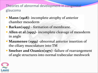 Theories of abnormal development in congenital
glaucoma
 Mann (1928)- incomplete atrophy of anterior
chamber mesoderm
 Barkan(1955) - formation of membrane.
 Allen et al.(1955)- incomplete cleavage of mesoderm
in angle
 Maumenee (1959) -abnormal anterior insertion of
the ciliary musculature into TM
 Smelser and Ozanics(1971) -failure of rearrangement
of angle structures into normal trabecular meshwork
 