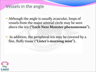 Vessels in the angle
 Although the angle is usually avascular, loops of
vessels from the major arterial circle may be seen
above the iris (“Loch Ness Monster phenomenon”).
 In addition, the peripheral iris may be covered by a
fine, fluffy tissue (“Lister’s morning mist”).
 