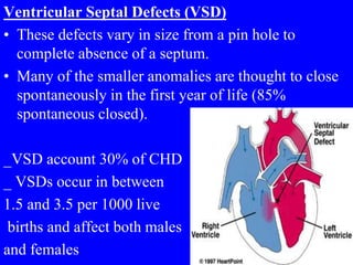 Ventricular Septal Defects (VSD)
• These defects vary in size from a pin hole to
complete absence of a septum.
• Many of the smaller anomalies are thought to close
spontaneously in the first year of life (85%
spontaneous closed).
_VSD account 30% of CHD
_ VSDs occur in between
1.5 and 3.5 per 1000 live
births and affect both males
and females
 