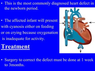 • This is the most commonly diagnosed heart defect in
the newborn period.
• The affected infant will present
with cyanosis either on feeding
or on crying because oxygenation
is inadequate for activity.
Treatment
• Surgery to correct the defect must be done at 1 week
to 3months.
 