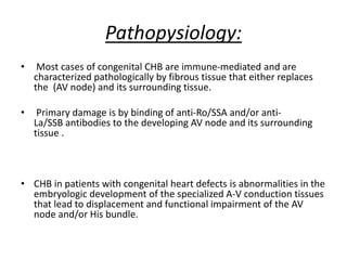 Pathopysiology:
• Most cases of congenital CHB are immune-mediated and are
characterized pathologically by fibrous tissue that either replaces
the (AV node) and its surrounding tissue.
• Primary damage is by binding of anti-Ro/SSA and/or anti-
La/SSB antibodies to the developing AV node and its surrounding
tissue .
• CHB in patients with congenital heart defects is abnormalities in the
embryologic development of the specialized A-V conduction tissues
that lead to displacement and functional impairment of the AV
node and/or His bundle.
 