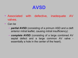 AVSD
• Associated with defective, inadequate AV
valves.
• Can be
– partial AVSD (consisting of a primum ASD and a cleft
anterior mitral leaflet, causing mitral insufficiency)
– complete AVSD (consisting of a large combined AV
septal defect and a large common AV valve -
essentially a hole in the center of the heart).
 