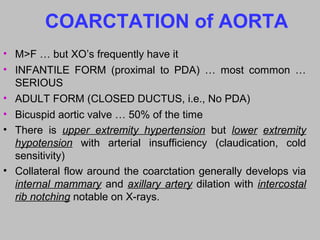 COARCTATION of AORTA
• M>F … but XO’s frequently have it
• INFANTILE FORM (proximal to PDA) … most common …
SERIOUS
• ADULT FORM (CLOSED DUCTUS, i.e., No PDA)
• Bicuspid aortic valve … 50% of the time
• There is upper extremity hypertension but lower extremity
hypotension with arterial insufficiency (claudication, cold
sensitivity)
• Collateral flow around the coarctation generally develops via
internal mammary and axillary artery dilation with intercostal
rib notching notable on X-rays.
 
