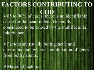 FACTORS CONTRIBUTING TO
CHD
85 to 90% of cases, there is no identifiable
cause for the heart defect. Generally
considered to be caused by the multifactorial
inheritance.
Factors are usually both genetic and
environmental, where a combination of genes
from both parents.
Maternal factors.
 