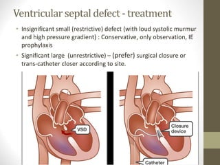 Ventricular septal defect - treatment
• Insignificant small (restrictive) defect (with loud systolic murmur
and high pressure gradient) : Conservative, only observation, IE
prophylaxis
• Significant large (unrestrictive) – (prefer) surgical closure or
trans-catheter closer according to site.
 