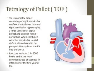 Tetralogy of Fallot ( TOF )
• This is complex defect
consisting of right ventricular
outflow tract obstruction and
right ventricular hypertrophy,
a large ventricular septal
defect and an over-riding
aorta that, when combined
with the ventricular septal
defect, allows blood to be
pumped directly from the RV
into the aorta.
• It occurs in about 1 in 2000
births and is the most
common cause of cyanosis in
infancy after the first year of
life.
 
