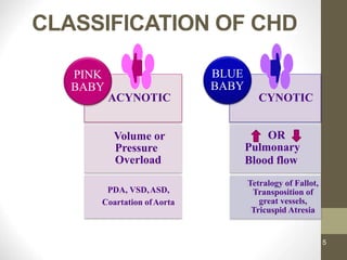 CLASSIFICATION OF CHD
ACYNOTIC
Volume or
Pressure
Overload
PDA, VSD,ASD,
Coartation ofAorta
PINK
BABY
CYNOTIC
OR
Pulmonary
Blood flow
Tetralogy of Fallot,
Transposition of
great vessels,
Tricuspid Atresia
BLUE
BABY
5
 