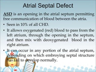 Atrial Septal Defect
ASD is an opening in the atrial septum permitting
free communication of blood between the atria.
• Seen in 10% of all CHD.
• It allows oxygenated (red) blood to pass from the
left atrium, through the opening in the septum,
and then mix with deoxygenated blood in the
right atrium.
• It can occur in any portion of the atrial septum,
depending on which embroying septal structure
has fail to develop normally.
 