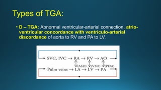 Tga Loop Types CONGENITAL HEAbbbbbbbbbbbbRT DISEASE.pptx