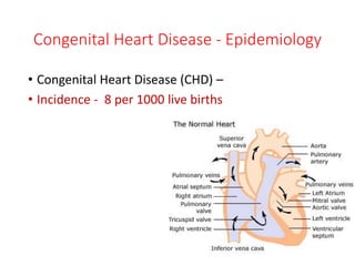 Congenital Heart Disease - Epidemiology
• Congenital Heart Disease (CHD) –
• Incidence - 8 per 1000 live births
 