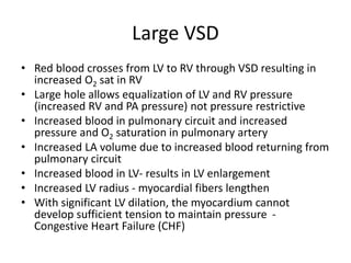 Large VSD
• Red blood crosses from LV to RV through VSD resulting in
increased O2 sat in RV
• Large hole allows equalization of LV and RV pressure
(increased RV and PA pressure) not pressure restrictive
• Increased blood in pulmonary circuit and increased
pressure and O2 saturation in pulmonary artery
• Increased LA volume due to increased blood returning from
pulmonary circuit
• Increased blood in LV- results in LV enlargement
• Increased LV radius - myocardial fibers lengthen
• With significant LV dilation, the myocardium cannot
develop sufficient tension to maintain pressure -
Congestive Heart Failure (CHF)
 
