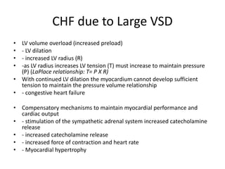 CHF due to Large VSD
• LV volume overload (increased preload)
• - LV dilation
• - increased LV radius (R)
• -as LV radius increases LV tension (T) must increase to maintain pressure
(P) (LaPlace relationship: T= P X R)
• With continued LV dilation the myocardium cannot develop sufficient
tension to maintain the pressure volume relationship
• - congestive heart failure
• Compensatory mechanisms to maintain myocardial performance and
cardiac output
• - stimulation of the sympathetic adrenal system increased catecholamine
release
• - increased catecholamine release
• - increased force of contraction and heart rate
• - Myocardial hypertrophy
 