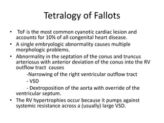 Tetralogy of Fallots
• ToF is the most common cyanotic cardiac lesion and
accounts for 10% of all congenital heart disease.
• A single embryologic abnormality causes multiple
morphologic problems.
• Abnormality in the septation of the conus and truncus
arteriosus with anterior deviation of the conus into the RV
outflow tract causes
-Narrowing of the right ventricular outflow tract
- VSD
- Dextroposition of the aorta with override of the
ventricular septum.
• The RV hypertrophies occur because it pumps against
systemic resistance across a (usually) large VSD.
 