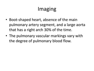 Imaging
• Boot-shaped heart, absence of the main
pulmonary artery segment, and a large aorta
that has a right arch 30% of the time.
• The pulmonary vascular markings vary with
the degree of pulmonary blood flow.
 
