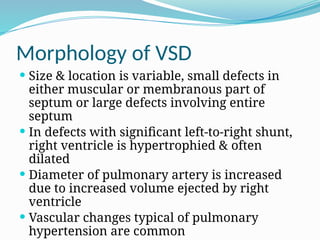 Vsd Size Classification Congenital Heart Disease_level III.pptx h | PPTX