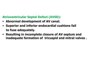 Atrioventricular Septal Defect (AVSD):
 Abnormal development of AV canal.
 Superior and inferior endocardial cushions fail
to fuse adequately.
 Resulting in incomplete closure of AV septum and
inadequate formation of tricuspid and mitral valves .
 