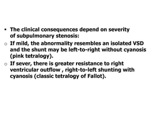  The clinical consequences depend on severity
of subpulmonary stenosis:
o If mild, the abnormality resembles an isolated VSD
and the shunt may be left-to-right without cyanosis
(pink tetralogy).
o If sever, there is greater resistance to right
ventricular outflow , right-to-left shunting with
cyanosis (classic tetralogy of Fallot).
 