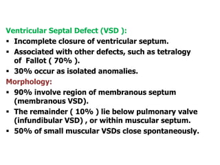 Ventricular Septal Defect (VSD ):
 Incomplete closure of ventricular septum.
 Associated with other defects, such as tetralogy
of Fallot ( 70% ).
 30% occur as isolated anomalies.
Morphology:
 90% involve region of membranous septum
(membranous VSD).
 The remainder ( 10% ) lie below pulmonary valve
(infundibular VSD) , or within muscular septum.
 50% of small muscular VSDs close spontaneously.
 
