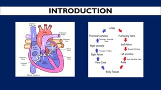 INTRODUCTION
 