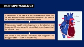 PATHOPHYSIOLOGY
In transposition of the great arteries, the deoxygenated blood from
the body returns to the right atrium, goes through the right ventricle,
and is pumped back to the body through the aorta.
The oxygenated blood from the lungs returns to the left atrium, goes
through the left ventricle, and is pumped back to the lungs through
the pulmonary artery.
This results in two separate circulations, with oxygenated and
deoxygenated blood unable to mix efficiently.
 