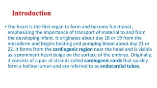 Introduction
• The heart is the first organ to form and become functional ,
emphasizing the importance of transport of material to and from
the developing infant. It originates about day 18 or 19 from the
mesoderm and begins beating and pumping blood about day 21 or
22. It forms from the cardiogenic region near the head and is visible
as a prominent heart bulge on the surface of the embryo. Originally,
it consists of a pair of strands called cardiogenic cords that quickly
form a hollow lumen and are referred to as endocardial tubes.
 
