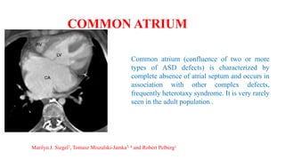 COMMON ATRIUM
Common atrium (confluence of two or more
types of ASD defects) is characterized by
complete absence of atrial septum and occurs in
association with other complex defects,
frequently heterotaxy syndrome. It is very rarely
seen in the adult population .
Marilyn J. Siegel2, Tomasz Miszalski-Jamka3, 4 and Robert Pelberg1
 