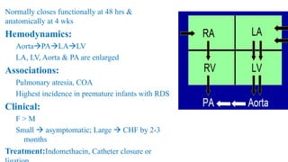Normally closes functionally at 48 hrs &
anatomically at 4 wks
Hemodynamics:
AortaPALALV
LA, LV, Aorta & PA are enlarged
Associations:
Pulmonary atresia, COA
Highest incidence in premature infants with RDS
Clinical:
F > M
Small  asymptomatic; Large  CHF by 2-3
months
Treatment:Indomethacin, Catheter closure or
 