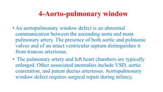 4-Aorto-pulmonary window
• An aortopulmonary window defect is an abnormal
communication between the ascending aorta and main
pulmonary artery. The presence of both aortic and pulmonic
valves and of an intact ventricular septum distinguishes it
from truncus arteriosus.
• The pulmonary artery and left heart chambers are typically
enlarged. Other associated anomalies include VSD, aortic
coarctation, and patent ductus arteriosus. Aortopulmonary
window defect requires surgical repair during infancy.
 