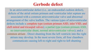 In an atrioventricular defect (i.e., an endocardial cushion defect),
defects of the atrial ostium primum and ventricular inlet septum are
associated with a common atrioventricular valve and abnormal
arrangement of the valve leaflets. The various types of atrioventricular
defects include a complete type (ostium primum ASD, inlet VSD, and
cleft mitral and tricuspid valves); a partial type (ostium primum ASD,
no interventricular shunt, normal atrioventricular valves); and a
common atrium . Direct shunting from the left ventricle into the right
atrium may develop. In the most severe form, all four chambers
communicate causing left-to-right and right-to-left shunting
Gerbode defect
 
