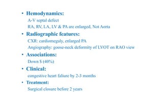 • Hemodynamics:
A-V septal defect
RA, RV, LA, LV & PA are enlarged, Not Aorta
• Radiographic features:
CXR: cardiomegaly, enlarged PA
Angiography: goose-neck deformity of LVOT on RAO view
• Associations:
Down $ (40%)
• Clinical:
congestive heart faliure by 2-3 months
• Treatment:
Surgical closure before 2 years
 