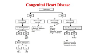 Congenital Heart Disease
 