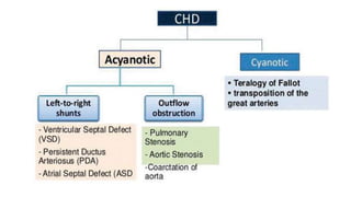 Congenital heart diseases during pregnancy | PPTX