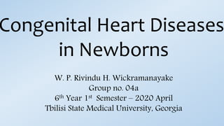 Congenital Heart Diseases
in Newborns
W. P. Rivindu H. Wickramanayake
Group no. 04a
6th Year 1st Semester – 2020 April
Tbilisi State Medical University, Georgia
 