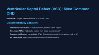 Vsd Incedence Congenital Heart Diseases v1 perplexity.pptx