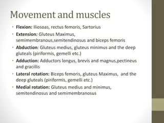 Movement and muscles
• Flexion: Iliosoas, rectus femoris, Sartorius
• Extension: Gluteus Maximus,
semimembranous,semitendinosus and biceps femoris
• Abduction: Gluteus medius, gluteus minimus and the deep
gluteals (piriformis, gemelli etc.)
• Adduction: Adductors longus, brevis and magnus,pectineus
and gracillis
• Lateral rotation: Biceps femoris, gluteus Maximus, and the
deep gluteals (piriformis, gemelli etc.)
• Medial rotation: Gluteus medius and minimus,
semitendinosus and semimembranosus
 
