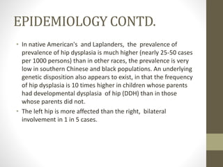 EPIDEMIOLOGY CONTD.
• In native American's and Laplanders, the prevalence of
prevalence of hip dysplasia is much higher (nearly 25-50 cases
per 1000 persons) than in other races, the prevalence is very
low in southern Chinese and black populations. An underlying
genetic disposition also appears to exist, in that the frequency
of hip dysplasia is 10 times higher in children whose parents
had developmental dysplasia of hip (DDH) than in those
whose parents did not.
• The left hip is more affected than the right, bilateral
involvement in 1 in 5 cases.
 