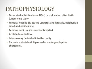 PATHOPHYSIOLOGY
• Dislocated at birth (classic DDH) or dislocation after birth
(underlying laxity)
• Femoral head is dislocated upwards and laterally, epiphysis is
small and ossifies late.
• Femoral neck is excessively anteverted
• Acetabulum shallow,
• Labrum may be folded into the cavity
• Capsule is stretched, hip muscles undergo adaptive
shortening.
 