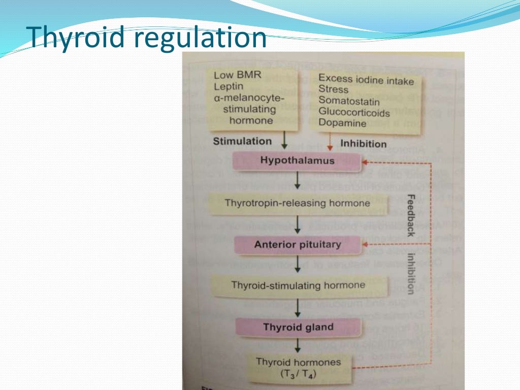 Congenital hypothyroidism