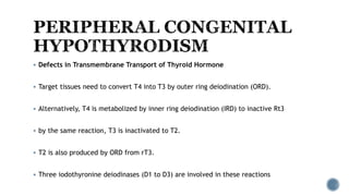 Rt3 Defect CONGENITAL HYPOTHYROIDISM | PPTX