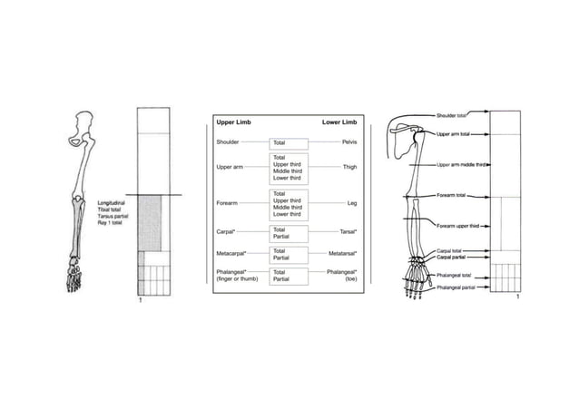 Congenital Limb deficiencies. Physiotherapy for pediatrics.pdf | Death ...