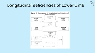 Congenital Limb Deficiency- Rushikesh Rajgude.pptx